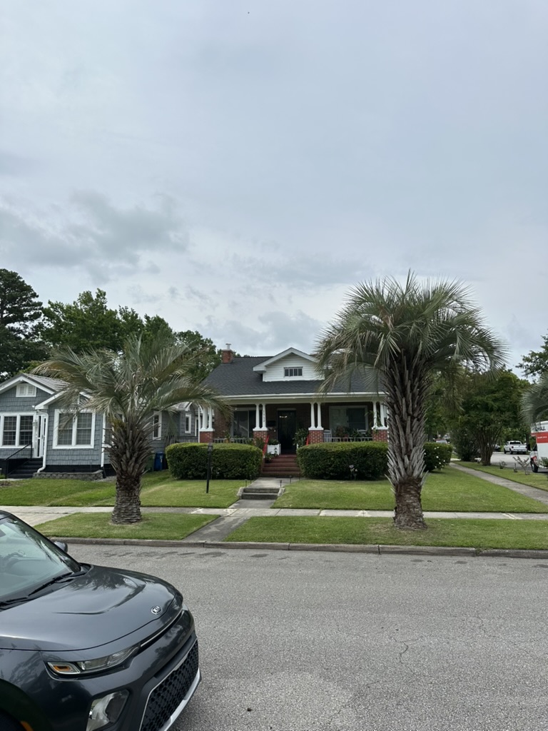 Residential property with freshly maintained lawn and palms Wilmington NC