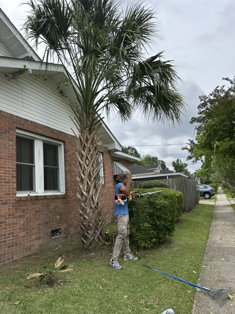 Isaiah Ellis trimming overgrown palm with power tool Wilmington NC