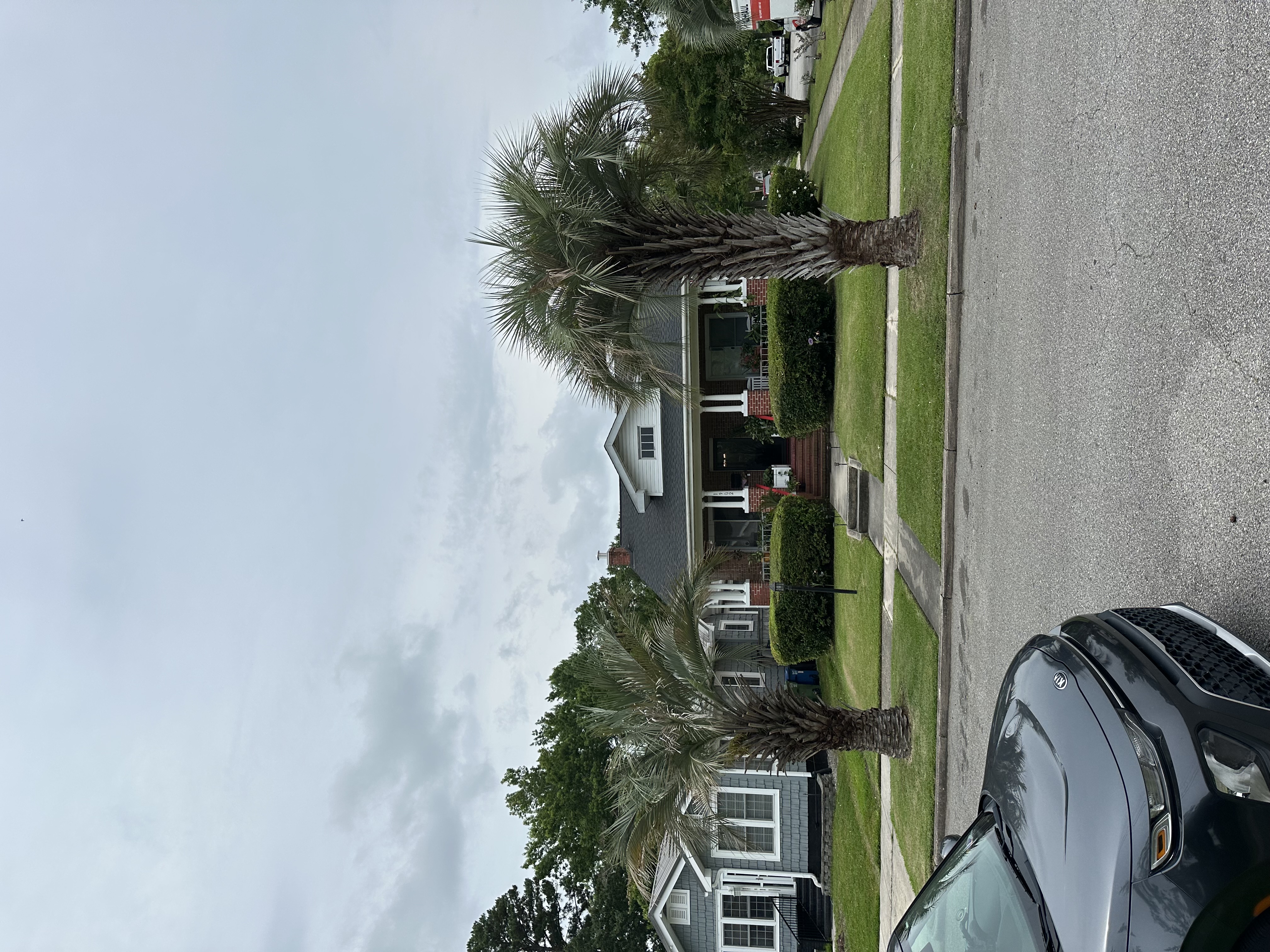 Wilmington NC residential property with trimmed palm trees after Iron Logistics service
