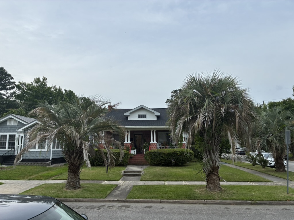 Clean maintained residential property with trimmed palm trees Wilmington NC
