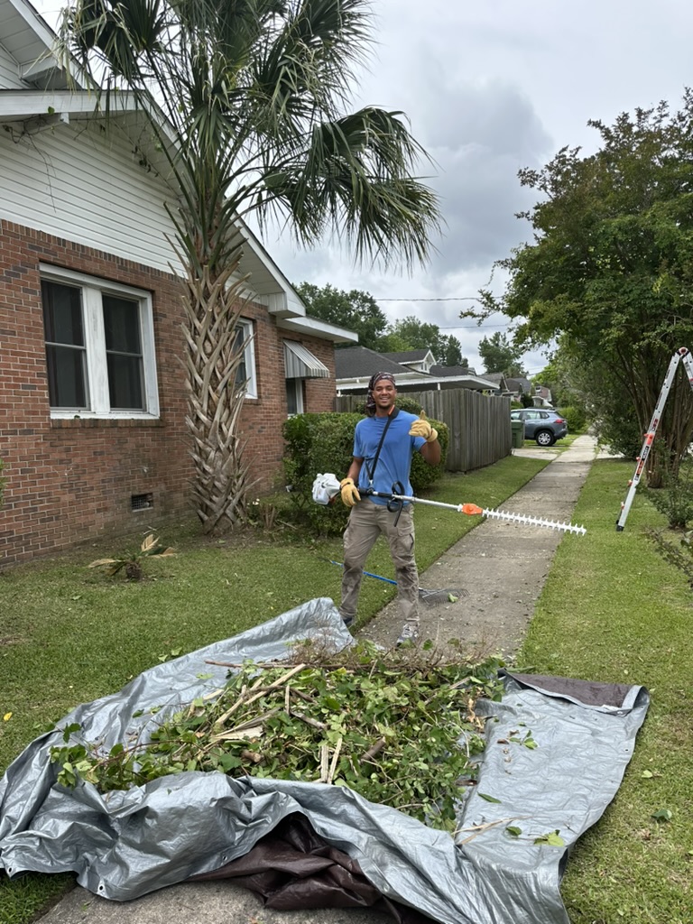 Palm tree cleaned — Isaiah Ellis with debris pile after vine and palm removal